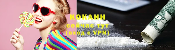 стаф Аркадак