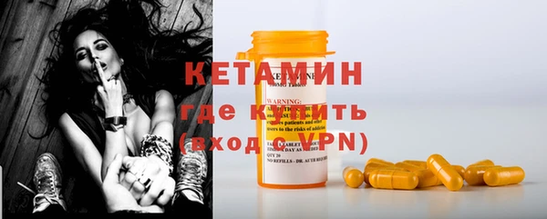 стаф Аркадак