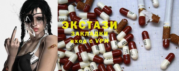 стаф Аркадак