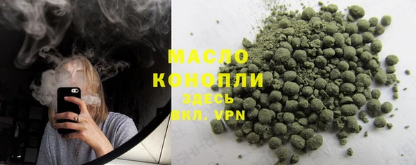 стаф Аркадак