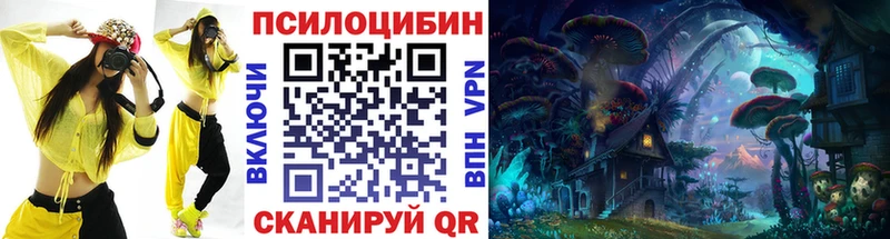 как найти закладки  Ядрин  Галлюциногенные грибы MAGIC MUSHROOMS 